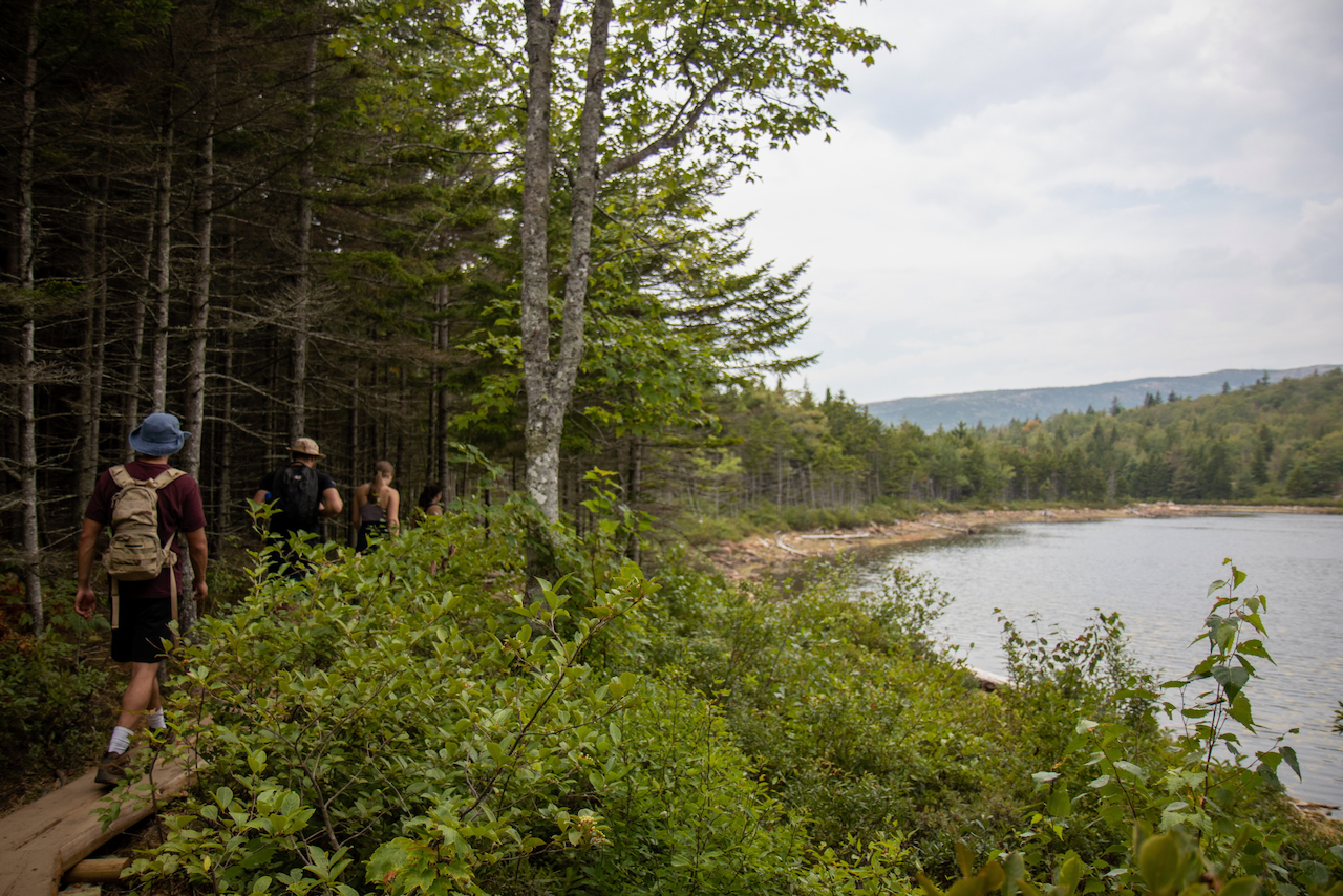 Acadia - 7 of 24.webp