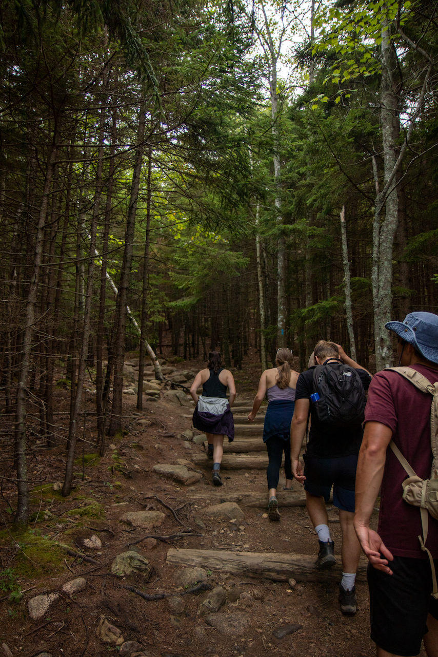 Acadia - 8 of 24.webp